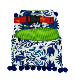 Pechera mexicana azul