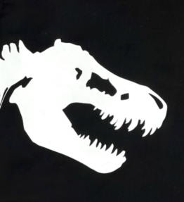 Playera para perro black Rex