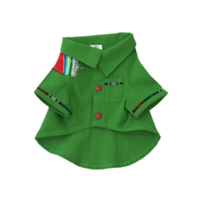 Camisa mexicana verde Camisa mexicana verde