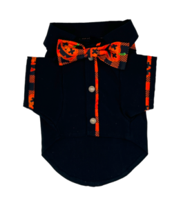 Camisa Calabaza