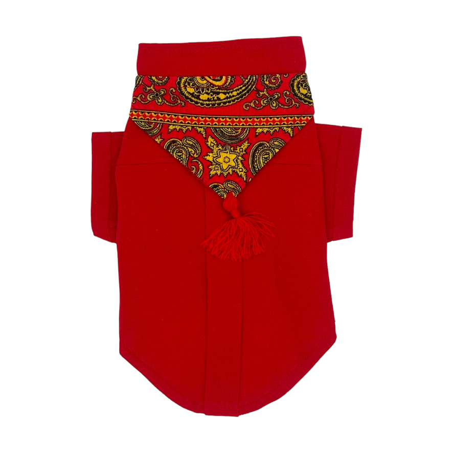 Camisa paleacate Talla 4