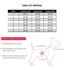 Vestido Charro