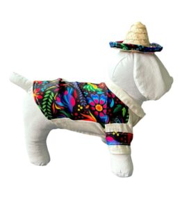 Camisa Otomí