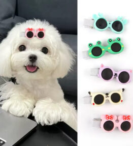 Pinzas de gafas de colores para perro