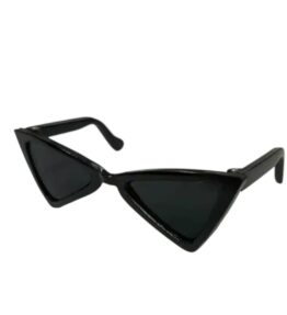Gafas triangulares para perro
