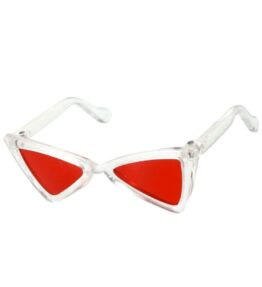 Gafas triangulares para perro
