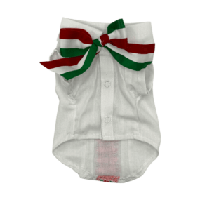 Guayabera Chiapas