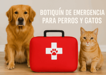 Botiquín de emergencia para perros y gatos