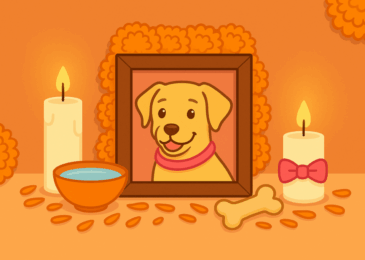Honra a tu perrhijo este Día de Muertos con un altar lleno de amor. Descubre cómo incluirlo en tu ofrenda con símbolos y detalles especiales.