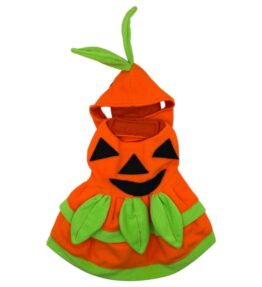 Vestido Calabaza
