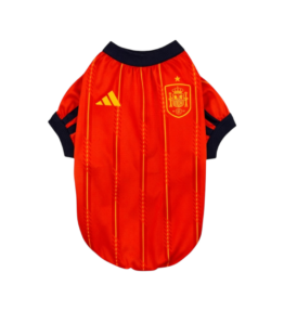 Jersey España Jersey España