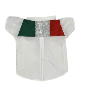 Camisa Camisa México